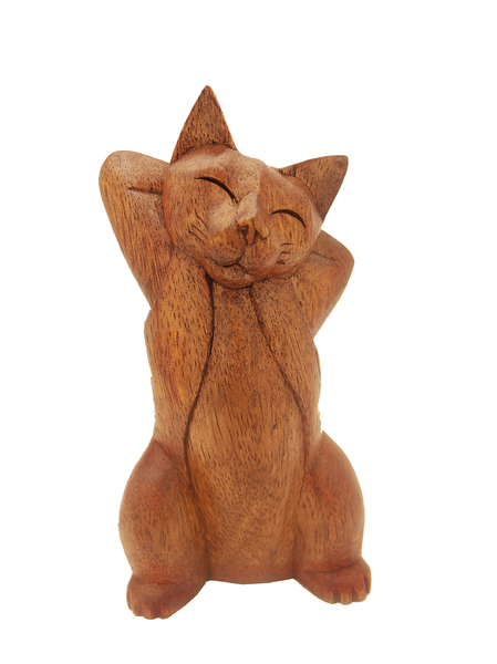 Кошечки суара, 27 моделей (кс-34)