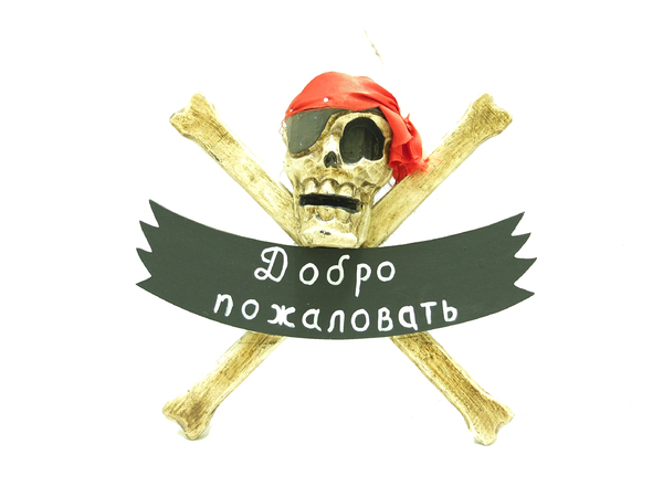 Череп с костями с табличкой "Добро пожаловать!" (чд-07)