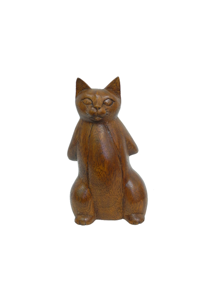 Кошечки суара, 27 моделей (кс-34)